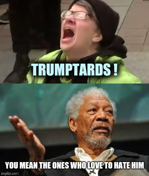 I can't find them | TRUMPTARDS ! | image tagged in screaming liberal,trump derangement syndrome,hatred,devotion,cult,minions | made w/ Imgflip meme maker