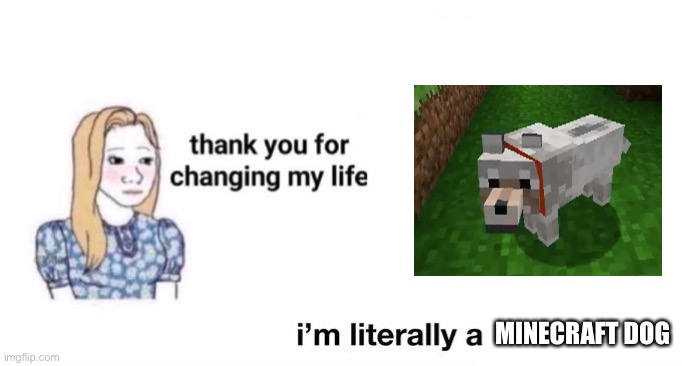amongus in real life sus sus | MINECRAFT DOG | image tagged in thank you for changing my life | made w/ Imgflip meme maker