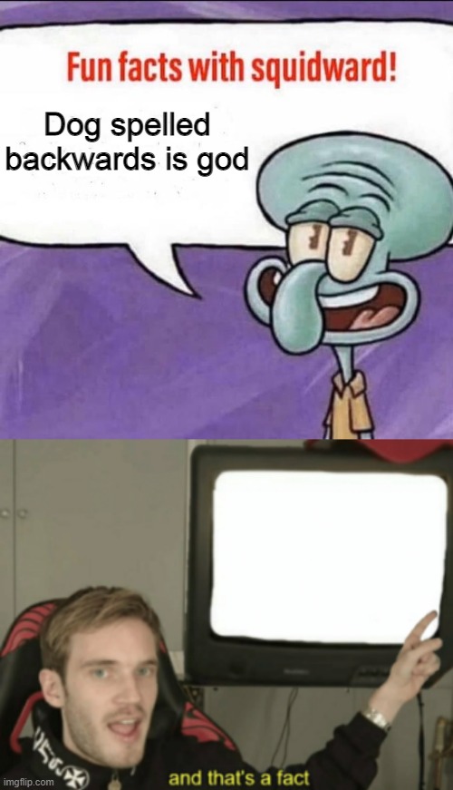 Dog spelled backwards is god | image tagged in fun facts with squidward,and that's a fact | made w/ Imgflip meme maker