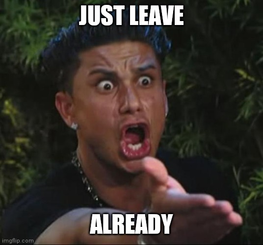 DJ Pauly D Meme | JUST LEAVE ALREADY | image tagged in memes,dj pauly d | made w/ Imgflip meme maker