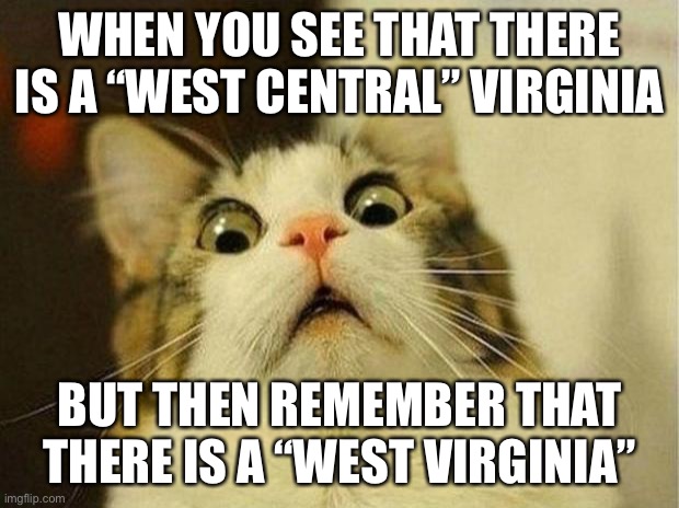 Scared Cat Meme | WHEN YOU SEE THAT THERE IS A “WEST CENTRAL” VIRGINIA BUT THEN REMEMBER THAT THERE IS A “WEST VIRGINIA” | image tagged in memes,scared cat | made w/ Imgflip meme maker