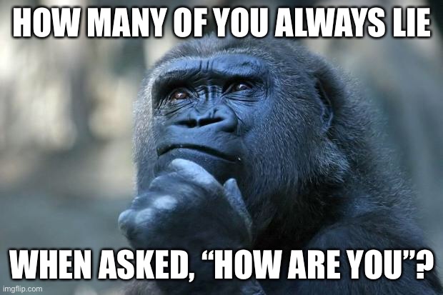 lol | HOW MANY OF YOU ALWAYS LIE; WHEN ASKED, “HOW ARE YOU”? | image tagged in deep thoughts | made w/ Imgflip meme maker