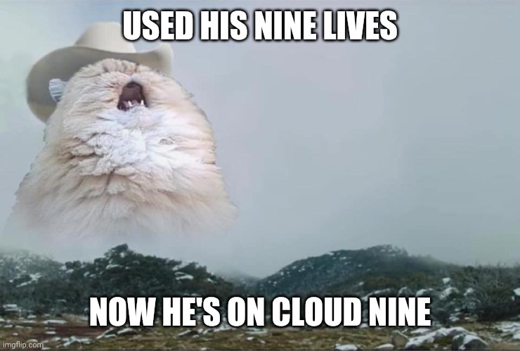 Screaming Cowboy Cat | USED HIS NINE LIVES; NOW HE'S ON CLOUD NINE | image tagged in screaming cowboy cat | made w/ Imgflip meme maker