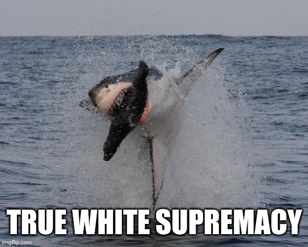 Mother nature doesn't need false narratives to show her power | TRUE WHITE SUPREMACY | image tagged in great white shark,political meme,white supremacy false narrative,political analogy,false political power,mother nature's power | made w/ Imgflip meme maker