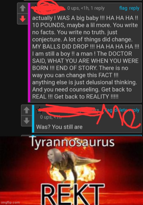 image tagged in tyrannosaurus rekt | made w/ Imgflip meme maker