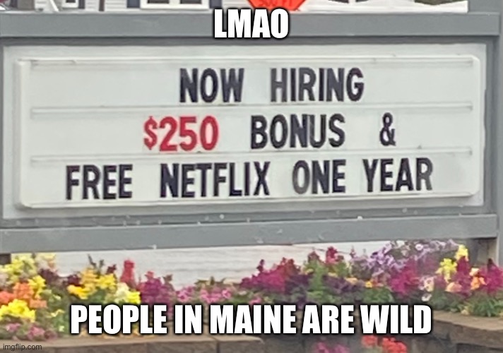 Pls hire me | LMAO; PEOPLE IN MAINE ARE WILD | image tagged in funny signs,i took this pic myself,wow you are actually reading these | made w/ Imgflip meme maker