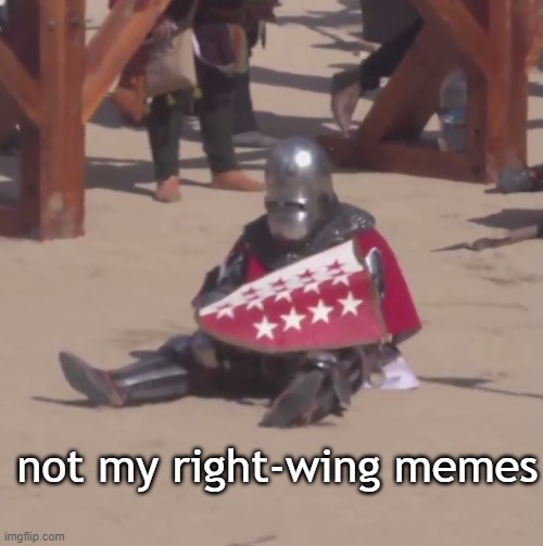 Sad crusader noises | not my right-wing memes | image tagged in sad crusader noises | made w/ Imgflip meme maker