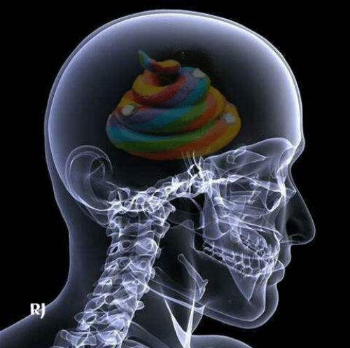 X-rays poop brains rainbow #6 Blank Meme Template