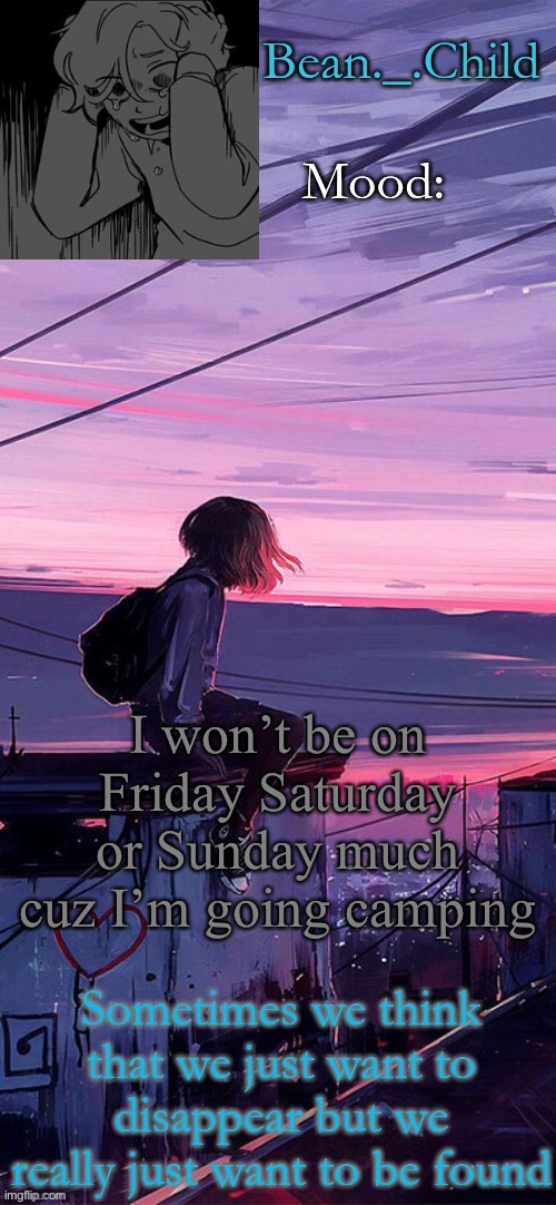 I won’t be on Friday Saturday or Sunday much cuz I’m going camping | image tagged in beans sad temp | made w/ Imgflip meme maker