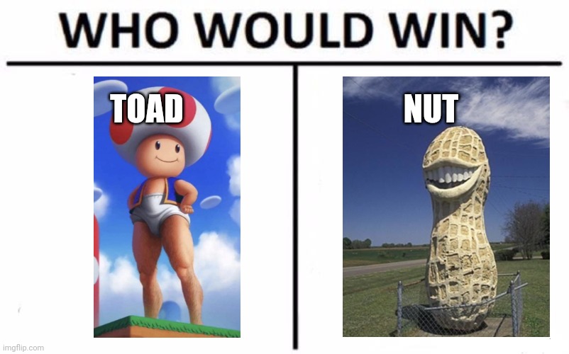 Toad though | TOAD; NUT | image tagged in memes,who would win | made w/ Imgflip meme maker