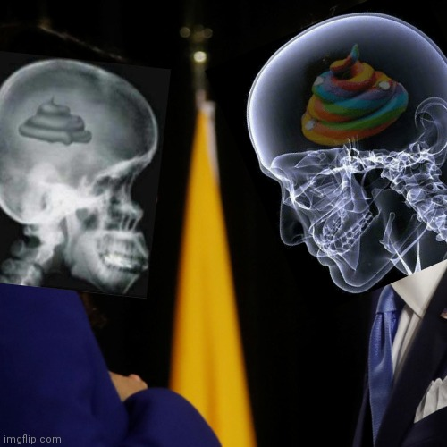 Joe Biden and Kamala Harris X-rays poop brains Blank Meme Template