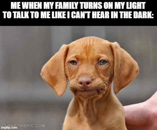 why do they do this | ME WHEN MY FAMILY TURNS ON MY LIGHT TO TALK TO ME LIKE I CAN'T HEAR IN THE DARK: | image tagged in umm dog | made w/ Imgflip meme maker