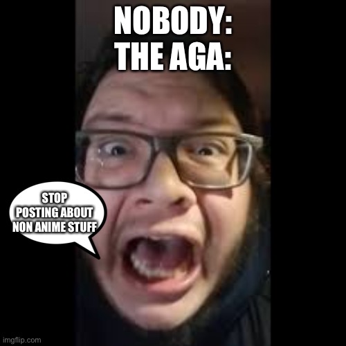 I hate the aga |  NOBODY:
THE AGA:; STOP POSTING ABOUT NON ANIME STUFF | image tagged in stop posting about among us,aga,nobody,non anime,memes | made w/ Imgflip meme maker