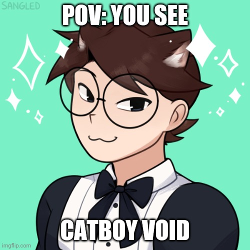 POV: YOU SEE CATBOY VOID | made w/ Imgflip meme maker