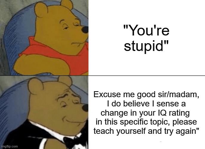 Kids in Online Games be like (PART 2) | "You're stupid"; Excuse me good sir/madam, I do believe I sense a change in your IQ rating  in this specific topic, please teach yourself and try again" | image tagged in memes,tuxedo winnie the pooh | made w/ Imgflip meme maker