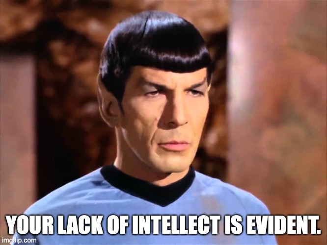 stupid | YOUR LACK OF INTELLECT IS EVIDENT. | image tagged in spock,mr spock,stupid people,stupid liberals | made w/ Imgflip meme maker