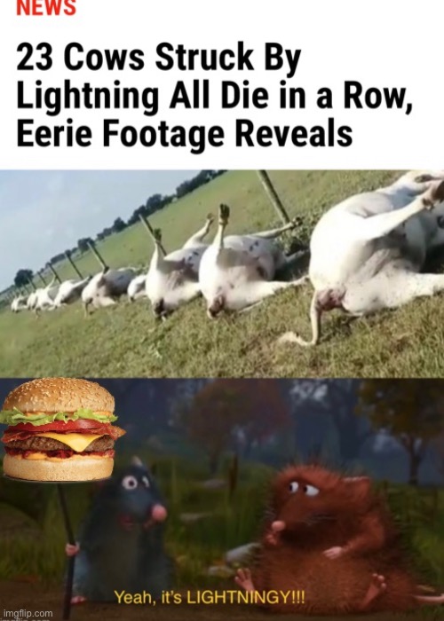 The burger is real | image tagged in funny,memes,stupid | made w/ Imgflip meme maker