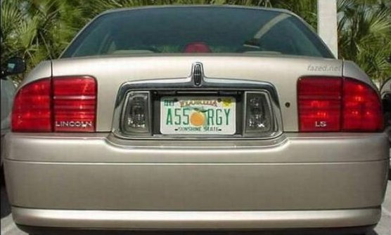 image tagged in funny