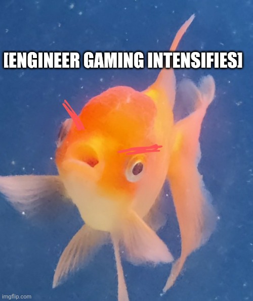 [ENGINEER GAMING INTENSIFIES] | image tagged in annoyed fish | made w/ Imgflip meme maker