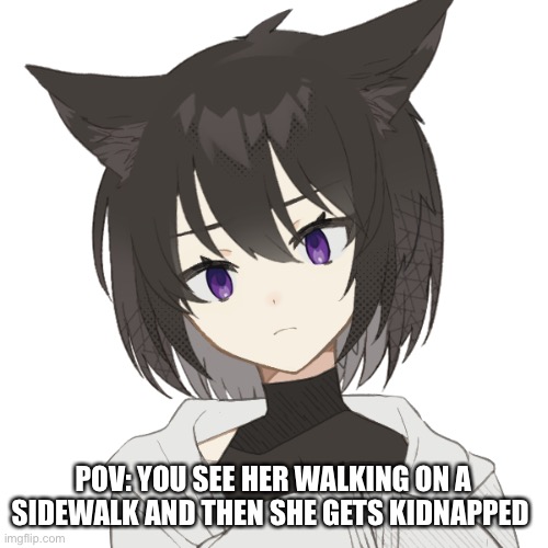 POV: YOU SEE HER WALKING ON A SIDEWALK AND THEN SHE GETS KIDNAPPED | made w/ Imgflip meme maker