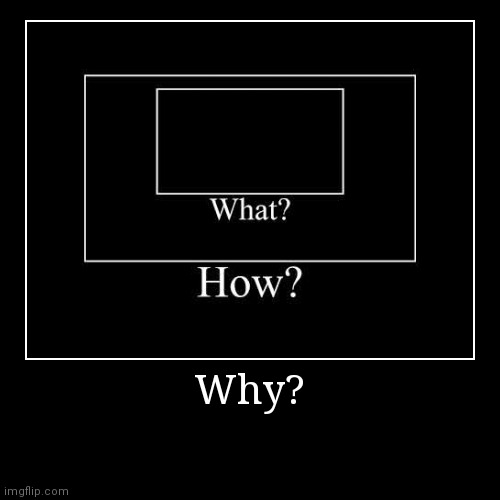 Why? | image tagged in funny,demotivationals | made w/ Imgflip demotivational maker