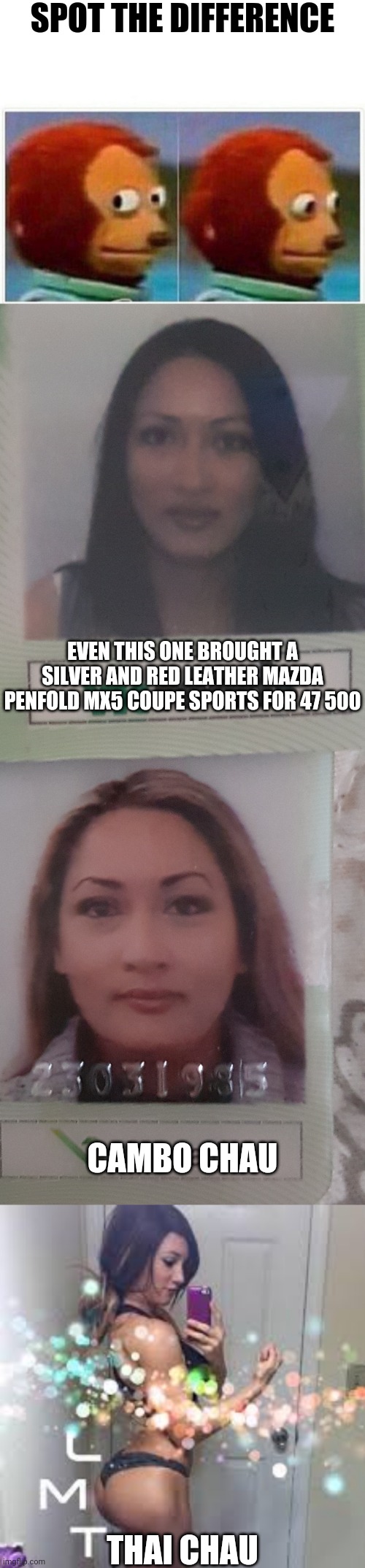 SPOT THE DIFFERENCE | SPOT THE DIFFERENCE; EVEN THIS ONE BROUGHT A SILVER AND RED LEATHER MAZDA PENFOLD MX5 COUPE SPORTS FOR 47 500; CAMBO CHAU; THAI CHAU | image tagged in memes,monkey puppet | made w/ Imgflip meme maker