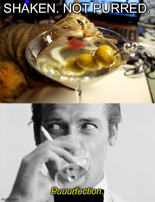 Meeeowww! | SHAKEN. NOT PURRED. Puuurfection. | image tagged in funny memes,eyeroll,james bond | made w/ Imgflip meme maker