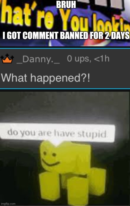 they can’t talk lol | image tagged in do you are have stupid | made w/ Imgflip meme maker