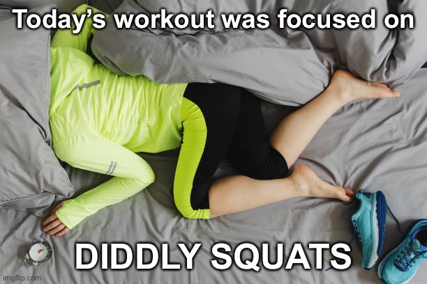 Fitness Schmittness | Today’s workout was focused on; DIDDLY SQUATS | image tagged in funny memes,eyeroll | made w/ Imgflip meme maker