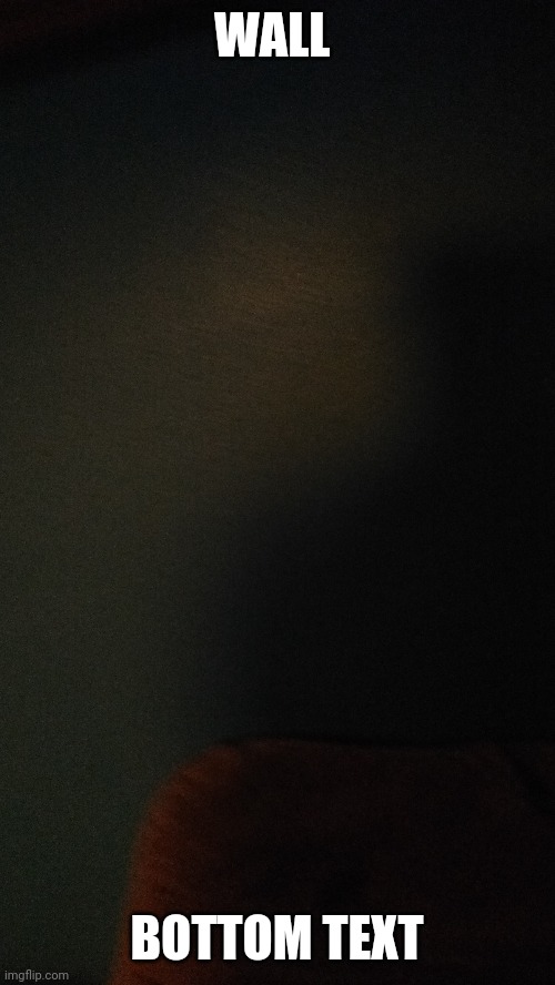 WALL; BOTTOM TEXT | made w/ Imgflip meme maker