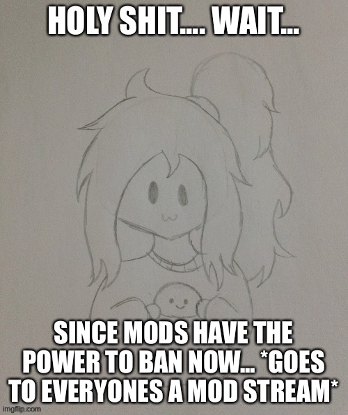 Jk | HOLY SHIT.... WAIT... SINCE MODS HAVE THE POWER TO BAN NOW... *GOES TO EVERYONES A MOD STREAM* | made w/ Imgflip meme maker