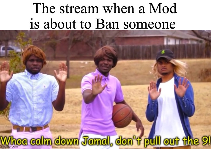 JAMAL DON’T- | The stream when a Mod is about to Ban someone | image tagged in woah calm down jamal don t pull out the 9 | made w/ Imgflip meme maker