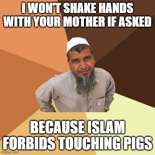 Haram Mom |  I WON'T SHAKE HANDS WITH YOUR MOTHER IF ASKED; BECAUSE ISLAM FORBIDS TOUCHING PIGS | image tagged in memes,ordinary muslim man,haram,yo mama | made w/ Imgflip meme maker
