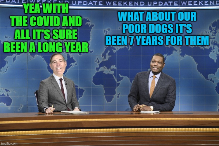 been a long year | YEA WITH THE COVID AND ALL IT'S SURE BEEN A LONG YEAR; WHAT ABOUT OUR POOR DOGS IT'S BEEN 7 YEARS FOR THEM | image tagged in weekend update,covid-19,kewlew | made w/ Imgflip meme maker