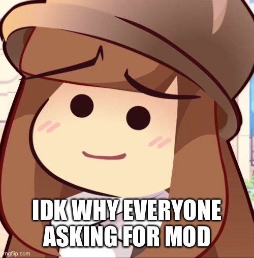 IDK WHY EVERYONE ASKING FOR MOD | made w/ Imgflip meme maker