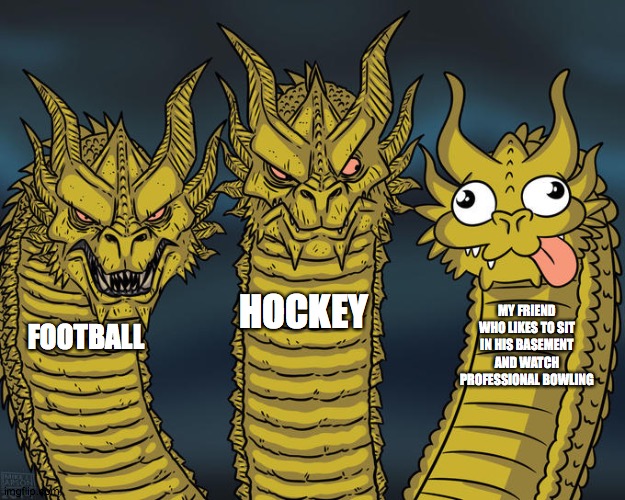 Three-headed Dragon | HOCKEY; MY FRIEND WHO LIKES TO SIT IN HIS BASEMENT AND WATCH PROFESSIONAL BOWLING; FOOTBALL | image tagged in three-headed dragon | made w/ Imgflip meme maker