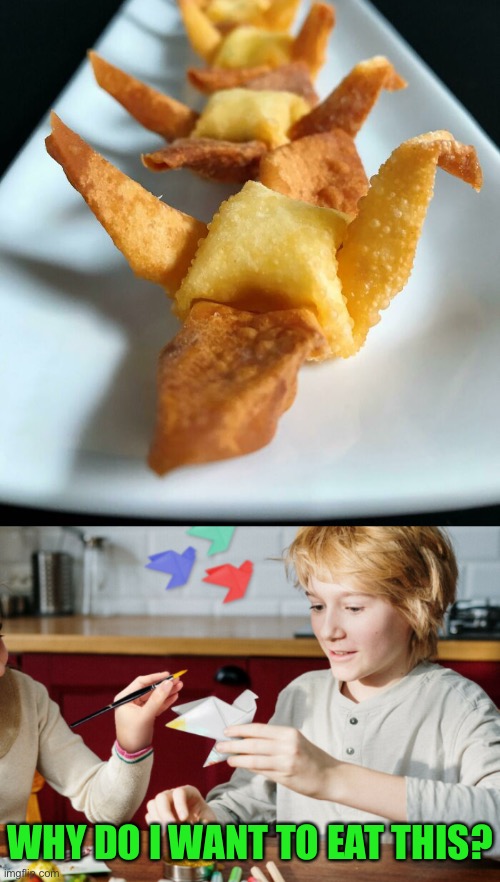 Won Ton | WHY DO I WANT TO EAT THIS? | image tagged in funny memes | made w/ Imgflip meme maker