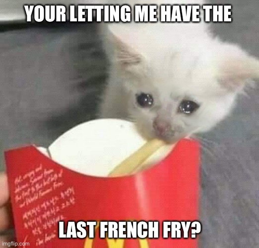 Cat last of french fries McDonalds |  YOUR LETTING ME HAVE THE; LAST FRENCH FRY? | image tagged in cat last of french fries mcdonalds | made w/ Imgflip meme maker