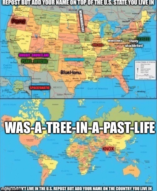 I live on EARTH | WAS-A-TREE-IN-A-PAST-LIFE | image tagged in earth | made w/ Imgflip meme maker