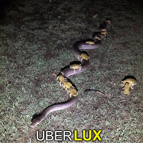 Stretch Limo | LUX; UBER | image tagged in funny memes,puberty | made w/ Imgflip meme maker