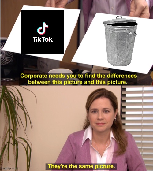 They're The Same Picture Meme | image tagged in they're the same picture,trash can,tiktok,tik tok,tiktok sucks,tik tok sucks | made w/ Imgflip meme maker