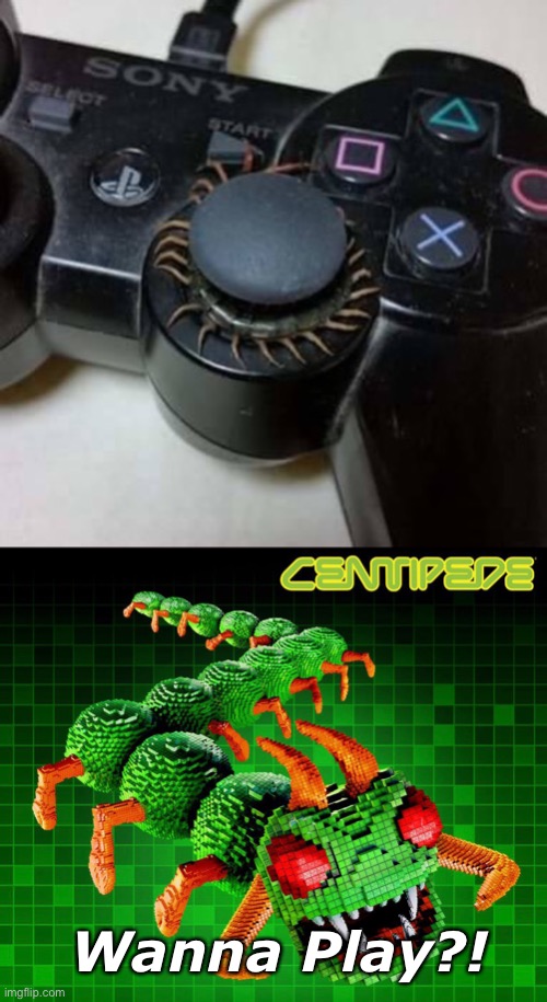 Ewwww! | Wanna Play?! | image tagged in funny memes,centipede | made w/ Imgflip meme maker