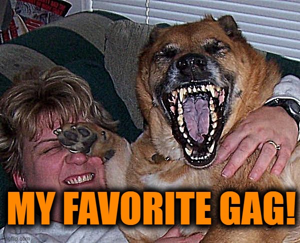 laughing dog | MY FAVORITE GAG! | image tagged in laughing dog | made w/ Imgflip meme maker