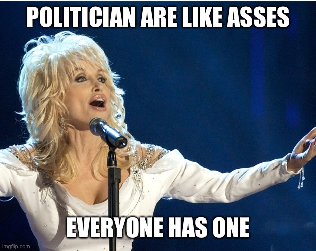 Dolly humor | POLITICIAN ARE LIKE ASSES; EVERYONE HAS ONE | image tagged in dolly parton | made w/ Imgflip meme maker