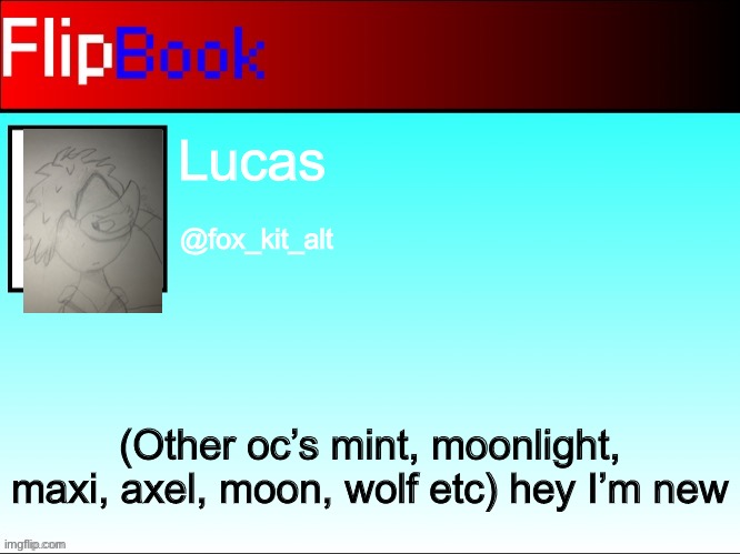 FlipBook profile | Lucas; @fox_kit_alt; (Other oc’s mint, moonlight, maxi, axel, moon, wolf etc) hey I’m new | image tagged in flipbook profile | made w/ Imgflip meme maker