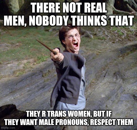 Harry potter | THERE NOT REAL MEN, NOBODY THINKS THAT THEY R TRANS WOMEN, BUT IF THEY WANT MALE PRONOUNS, RESPECT THEM | image tagged in harry potter | made w/ Imgflip meme maker
