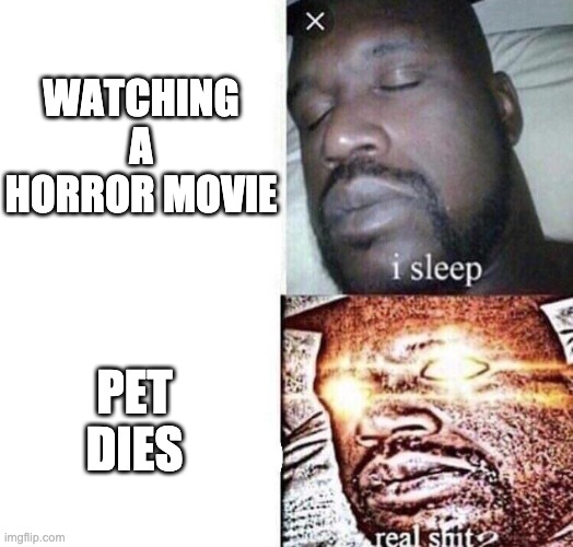 Horror movies be like that | WATCHING A HORROR MOVIE; PET DIES | image tagged in i sleep real shit,horror movie | made w/ Imgflip meme maker
