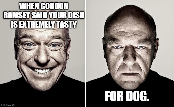 Dean Norris reaction | WHEN GORDON RAMSEY SAID YOUR DISH IS EXTREMELY TASTY; FOR DOG. | image tagged in dean norris reaction | made w/ Imgflip meme maker