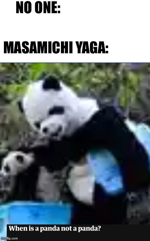 "Panda... is not a panda." | NO ONE:; MASAMICHI YAGA: | image tagged in panda,anime | made w/ Imgflip meme maker