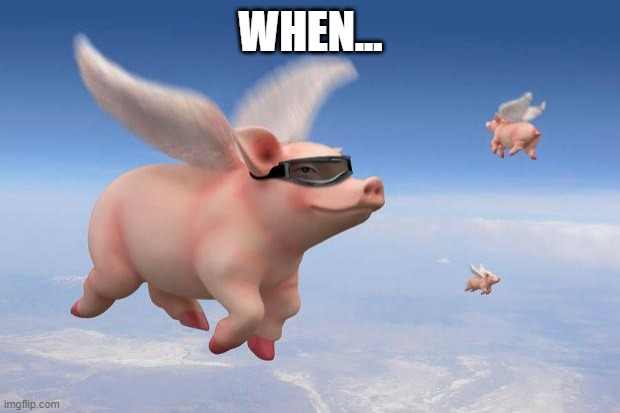 flying pigs | WHEN... | image tagged in flying pigs | made w/ Imgflip meme maker